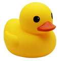 Test Product (don't buy)
